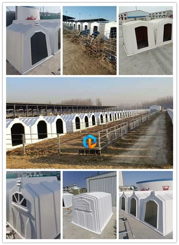 FRP Calf Hutch For Dairy Farms: Durable, UV-Resistant Calf Housing Solutions