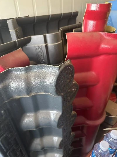 202602191033008048 202602191033008048